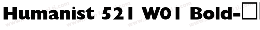 Humanist 521 W01 Bold字体转换